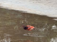 -秦皇岛野生动物园