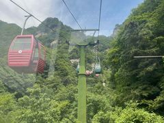 -王顺山国家森林公园