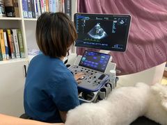 -阿荣24H宠物医院·综合型转诊中心·CT·核磁影像中心