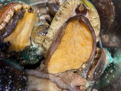 鲍鱼-乔哥铭洋海鲜自助(皇城恒隆广场店)