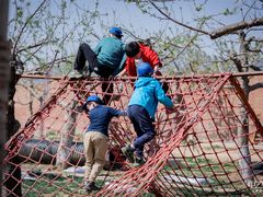 -甲乙果 美术书法(通州校区)