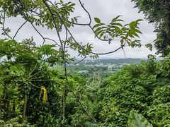 -海口火山口国家地质公园