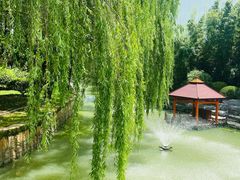 -同里湖度假村(二期店)