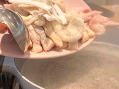 -池云涧自然椰子鸡(万泰汇店)
