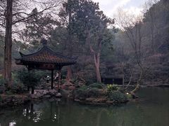 -杭州植物园