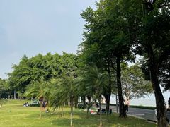 -深圳湾公园(南山区)