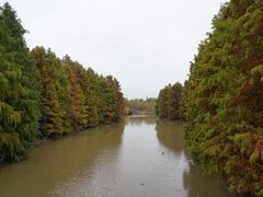 -上海海湾国家森林公园