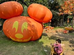 -HERRE·FARM 赫尔露营农场·团建聚会包场