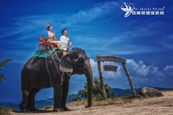 -四叶草环球旅拍
