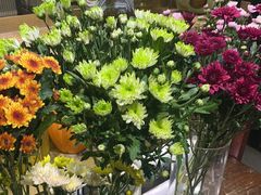 -弗劳尔花艺坊(龙涛店)