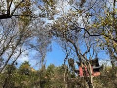 -南京金牛湖风景区