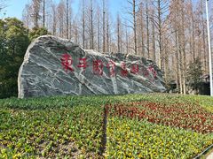 -东平国家森林公园