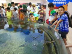 -鸿通城购物中心