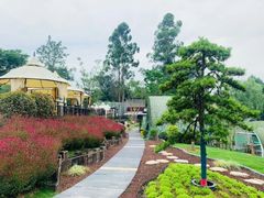 -马帮寨院坝火锅(龙港公园店)