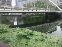 -Fiume福弥意大利餐厅