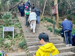 -紫金山山顶公园