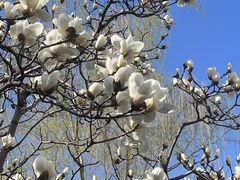 -鸥迪足道(前门店)