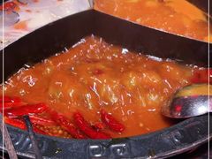 -蜀大侠火锅(森兰花园城店)