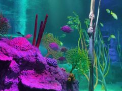 -沈阳海洋探索中心