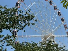 -自然谷恐龙园