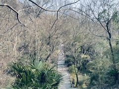 -南京老山国家森林公园