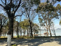 -东钱湖旅游度假区