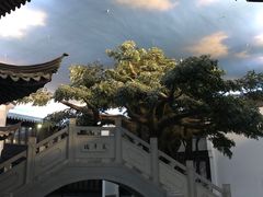 -馋遇江南·精致湖景雅宴(东方之门店)