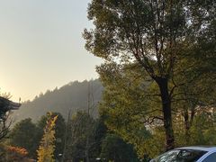 -宜春明月山维景国际温泉度假酒店