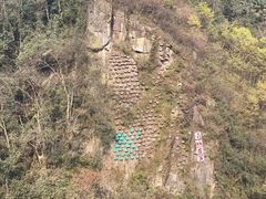 景点-青城后山