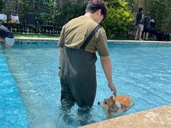 -汪说喵讲宠物乐园宠物酒店(红星美凯龙店)