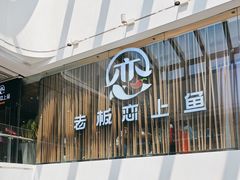 -老板恋上鱼(恒隆广场店)