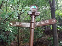 -大屏嶂森林公园