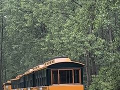 -合肥滨湖国家森林公园