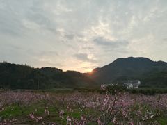 -衢州大荫山丛林飞越探险乐园