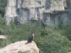 -天津市动物园