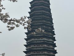 -红梅公园