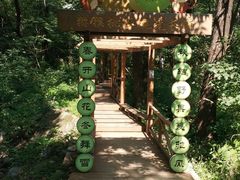 -大岭沟猕猴桃谷风景区