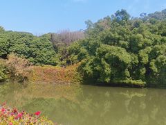 -云洞岩风景区