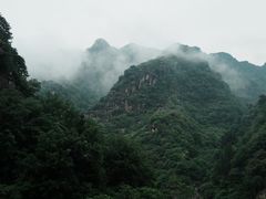 -王顺山国家森林公园