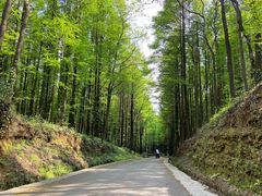 -山王坪喀斯特国家生态公园