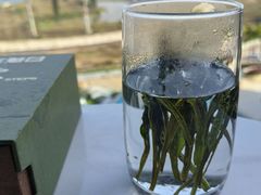 -YOHO荷里活罗斯福酒店