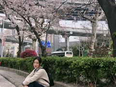 -上海南浦大桥长途旅游客运站