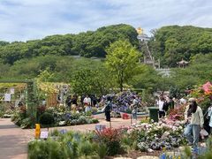 -苏州上方山国家森林公园