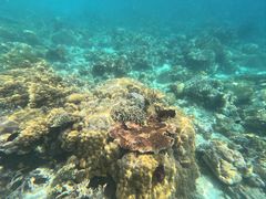 -卡帕莱度假村(西巴丹岛)