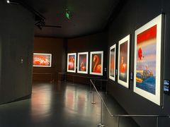 -罗红摄影艺术馆