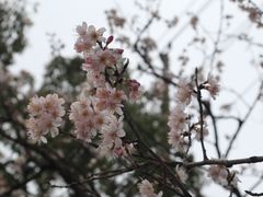-南北湖风景区