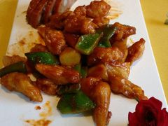 -素虎小呆鸟(西二旗店)