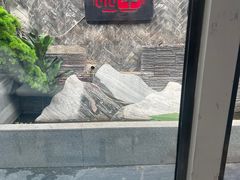 -毛辣果·贵州红酸汤牛肉火锅(西单店)