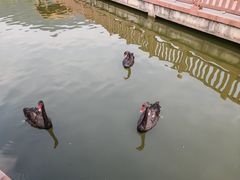 -无锡动物园·太湖欢乐园