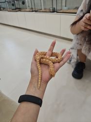 -Moni星球萌宠·小马宝莉·灵蛇·高端高阶全萌宠互动体验俱乐部(红豆国际广场店)